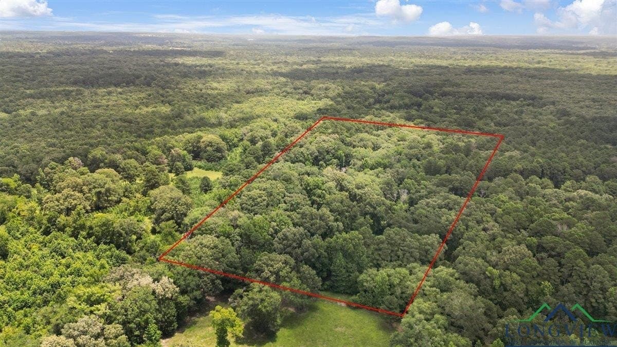 20 acres in Wood County - photo 5