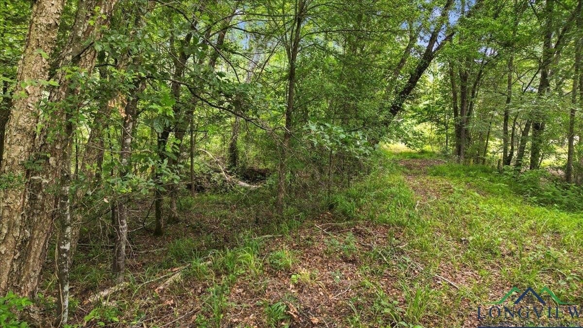 20 acres in Wood County - photo 13