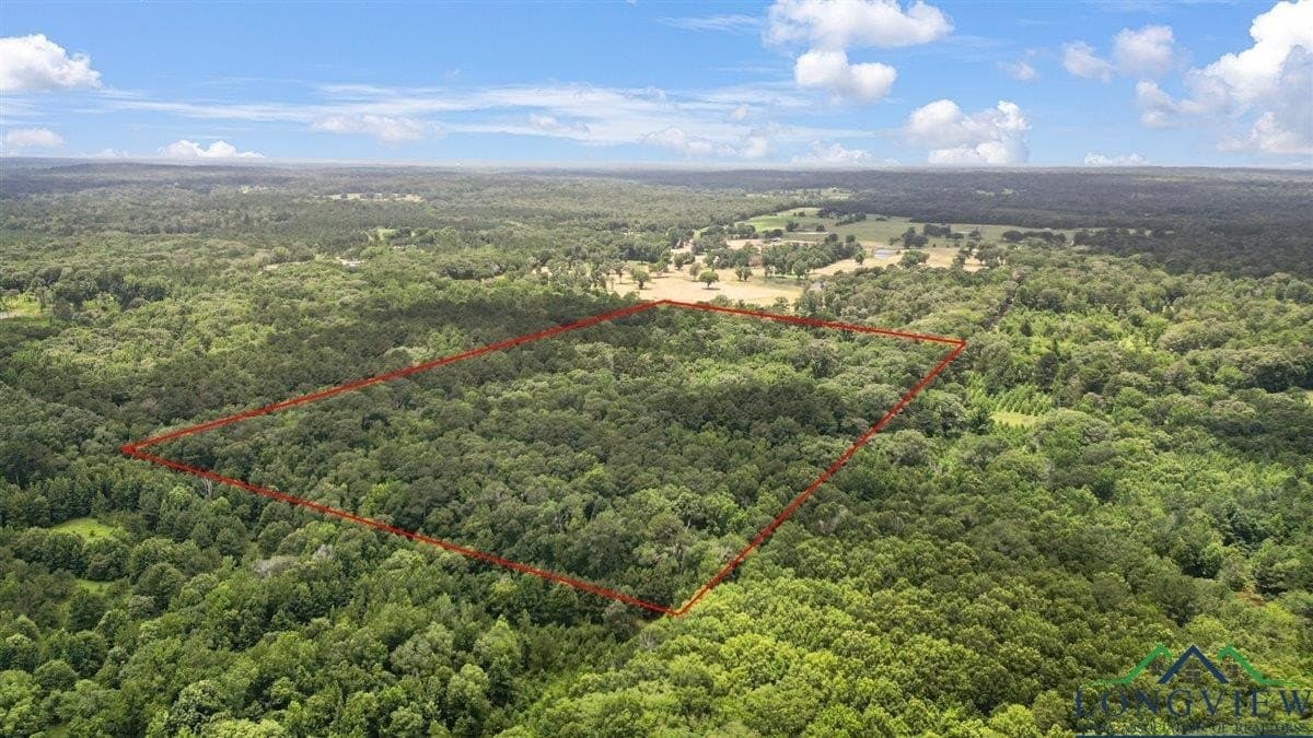 20 acres in Wood County - photo 3