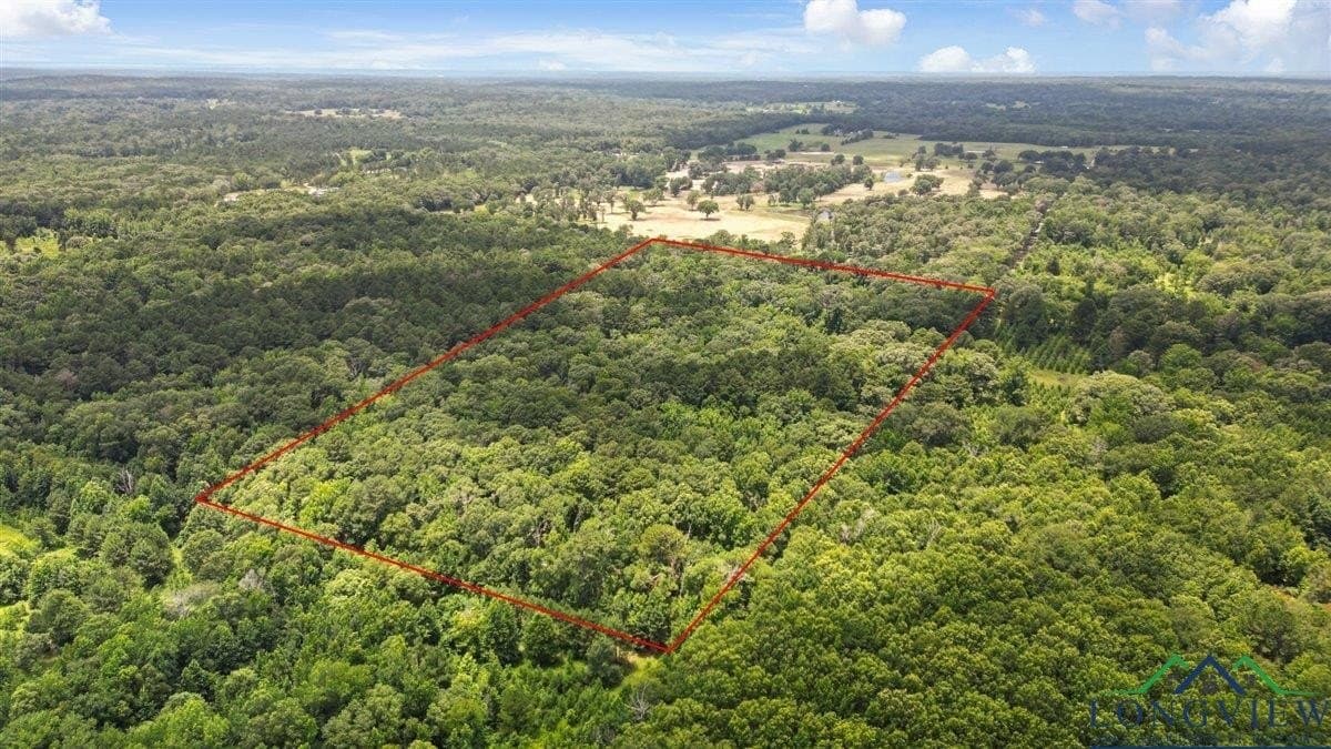 20 acres in Wood County - photo 2