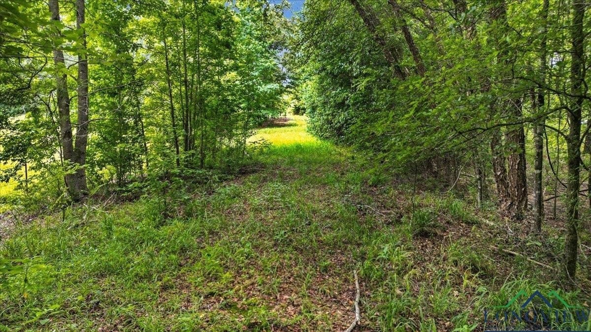20 acres in Wood County - photo 16