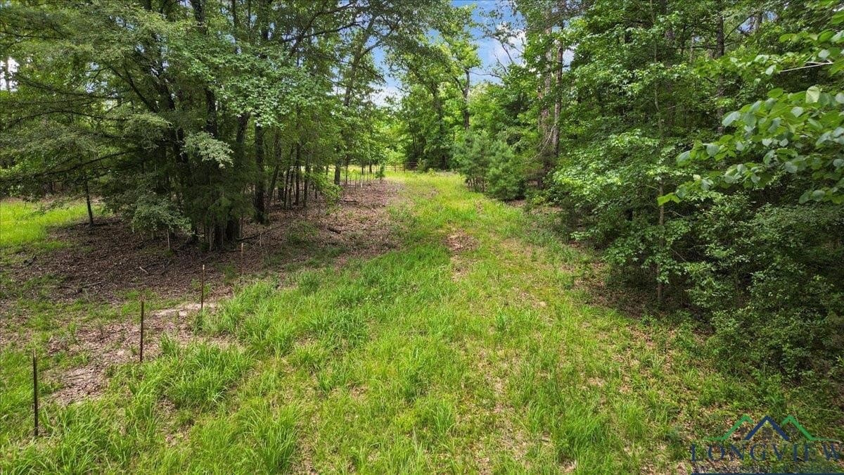 20 acres in Wood County - photo 18