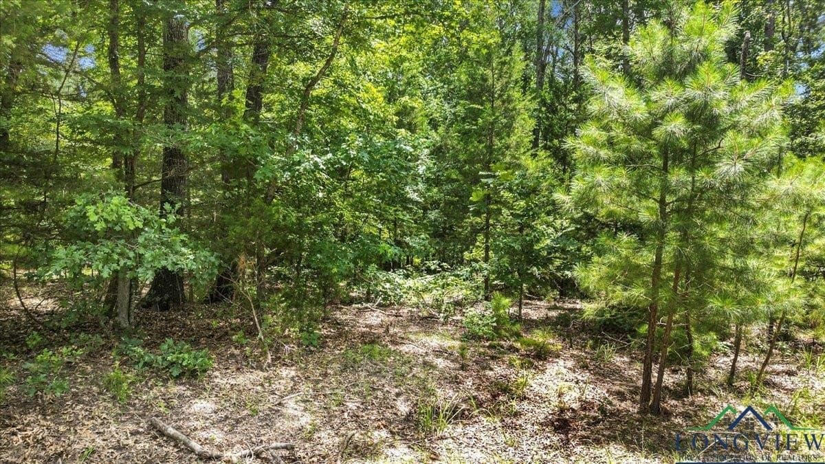20 acres in Wood County - photo 7