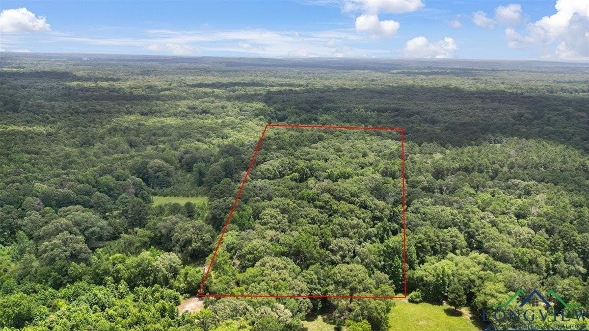 20 acres in Wood County - photo 4