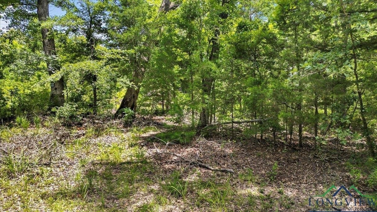 20 acres in Wood County - photo 8