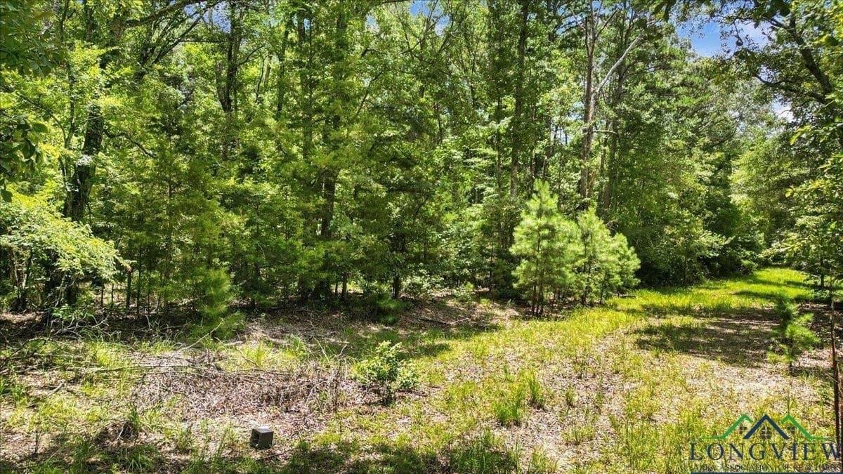 20 acres in Wood County - photo 6