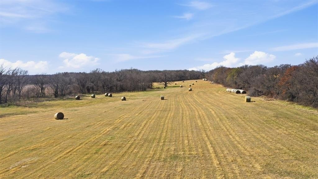 30.95 acres in Eastland County - photo 2