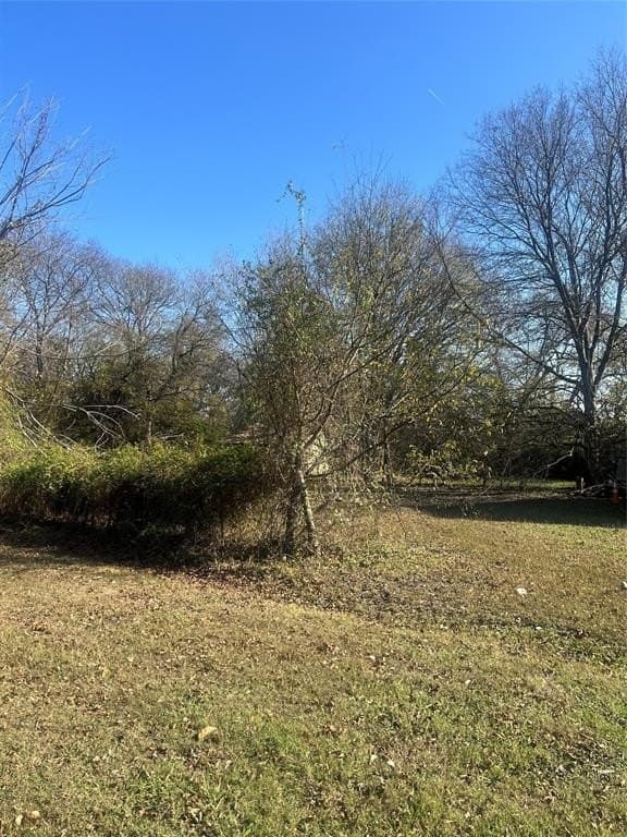 0.28 acres in Dallas County - photo 2
