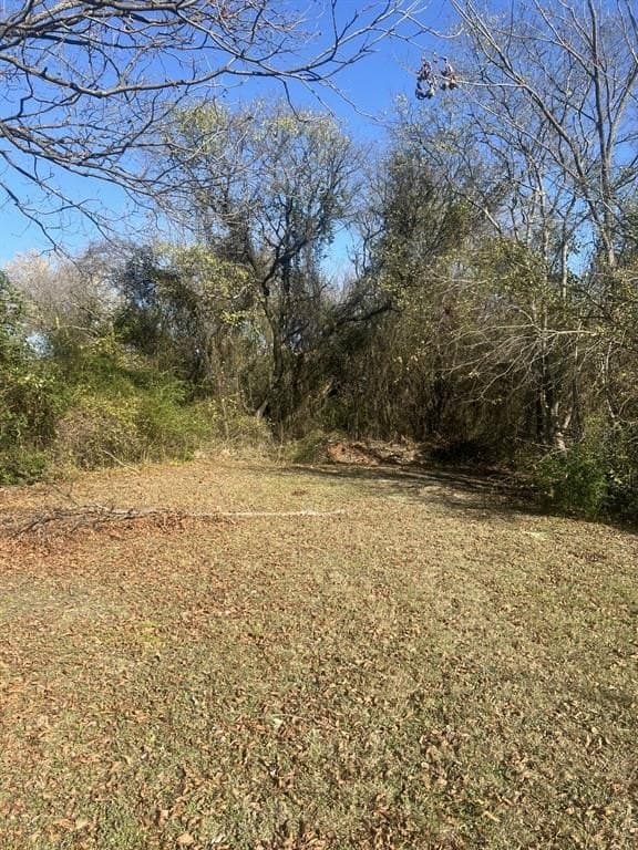 0.28 acres in Dallas County - photo 3