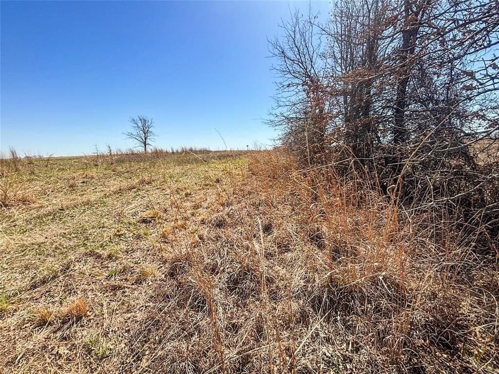 14.67 acres in Wise County - photo 40