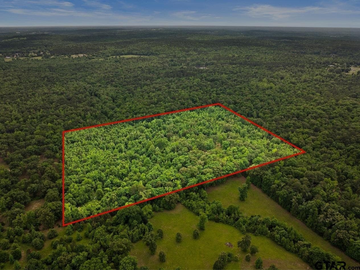 28.96 acres in Wood County - photo 38