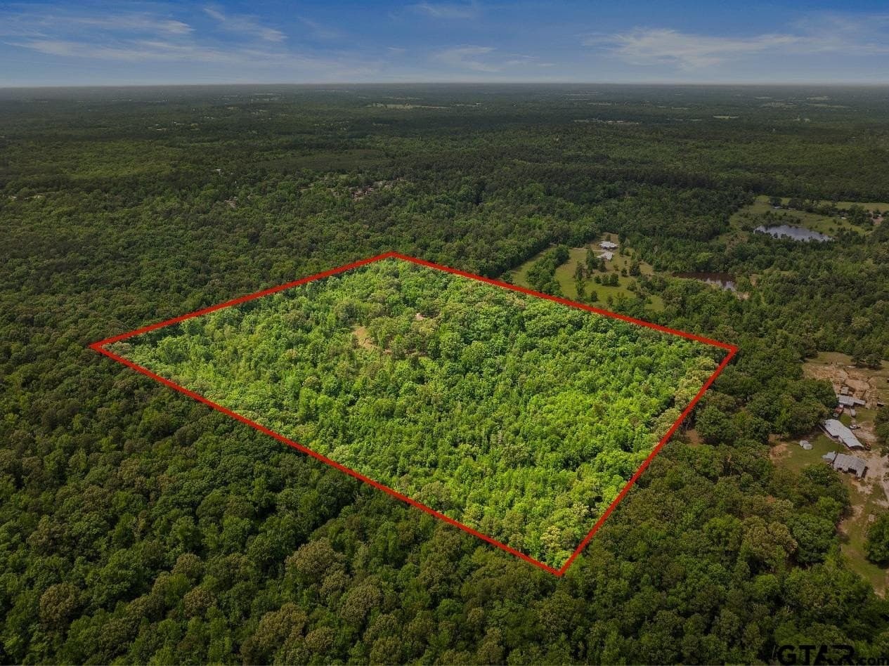 28.96 acres in Wood County - photo 40