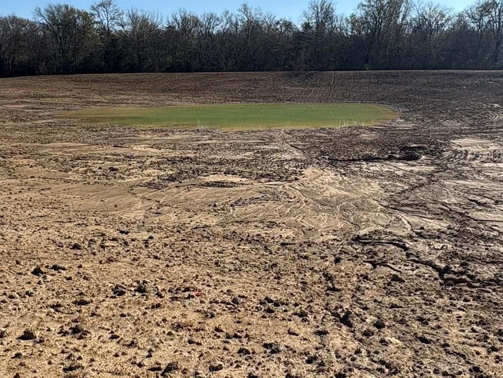 175 acres in Hopkins County - photo 28