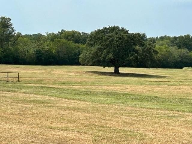 175 acres in Hopkins County - photo 5