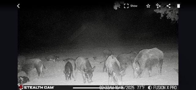 175 acres in Hopkins County - photo 37
