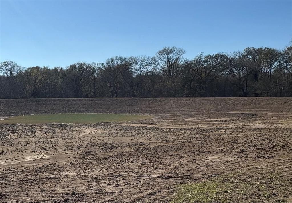 175 acres in Hopkins County - photo 33