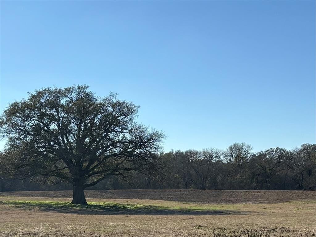 175 acres in Hopkins County - photo 26