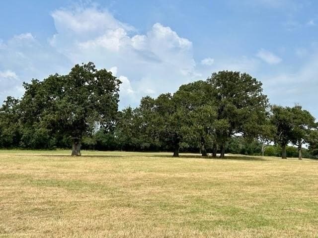 175 acres in Hopkins County - photo 17