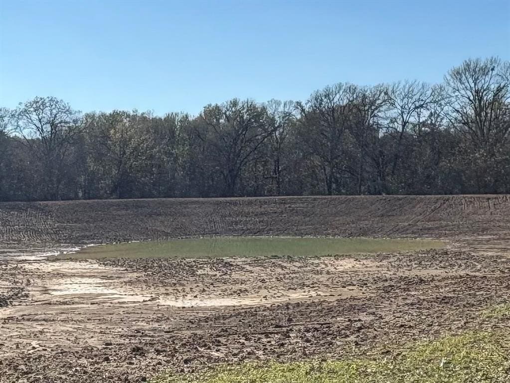 175 acres in Hopkins County - photo 34