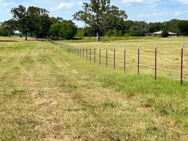 175 acres in Hopkins County - photo 13