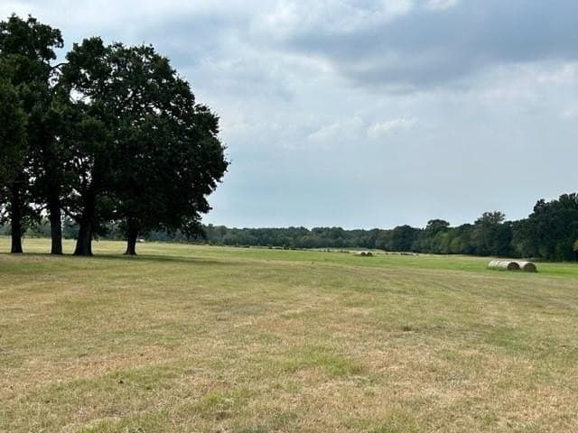 175 acres in Hopkins County - photo 16