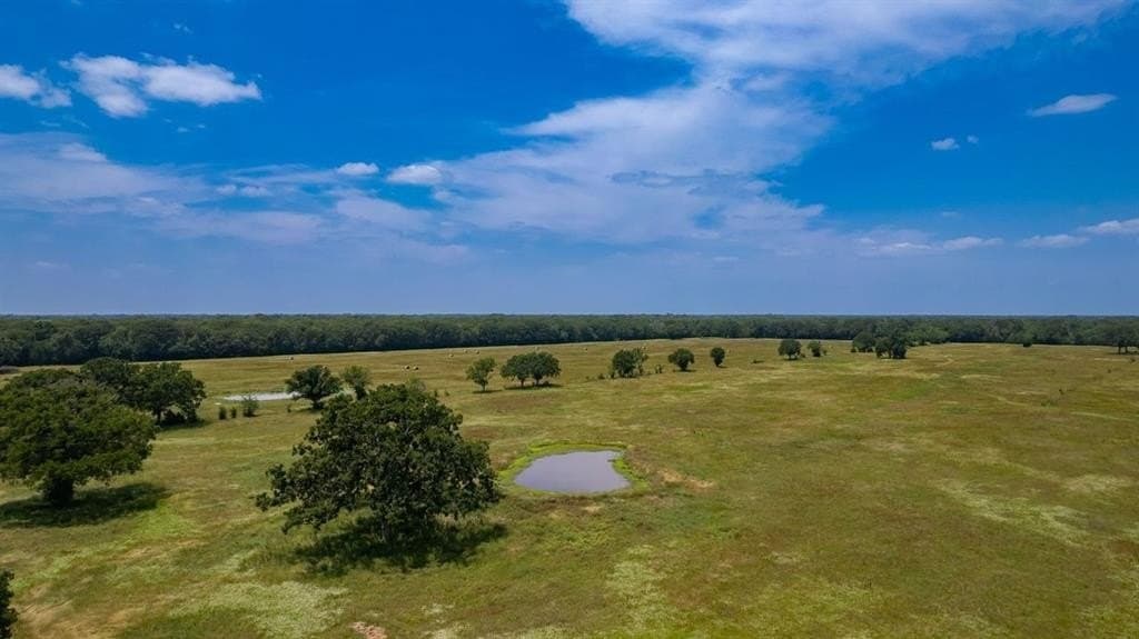 175 acres in Hopkins County - photo 3
