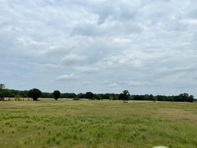 175 acres in Hopkins County - photo 20
