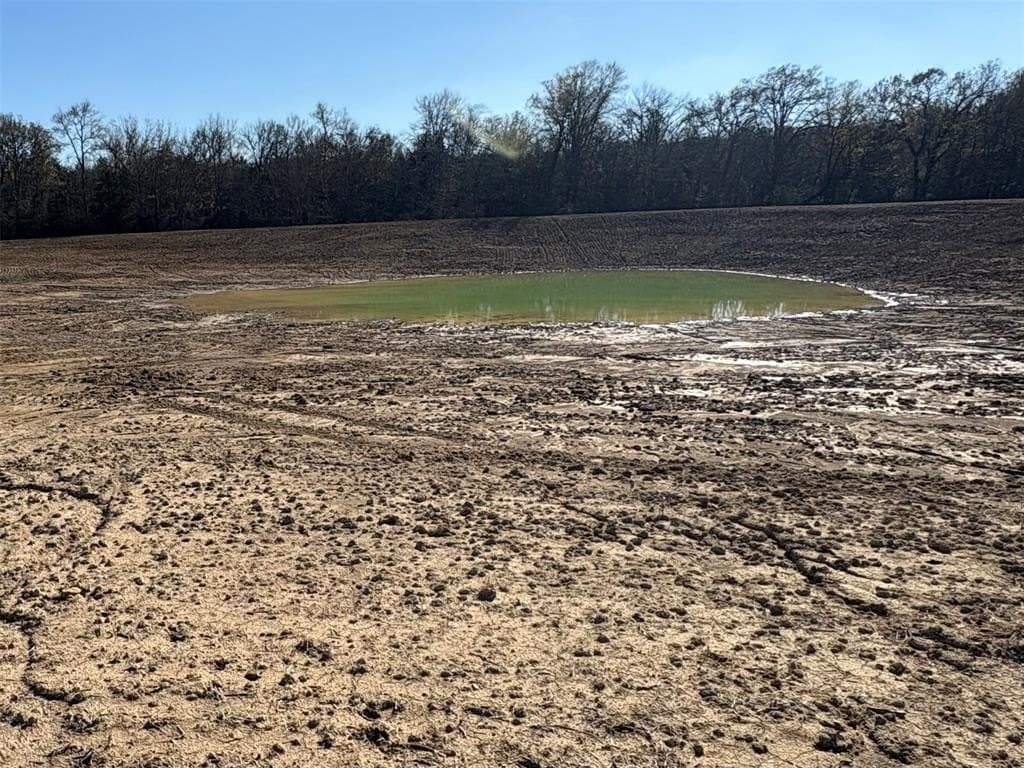 175 acres in Hopkins County - photo 29