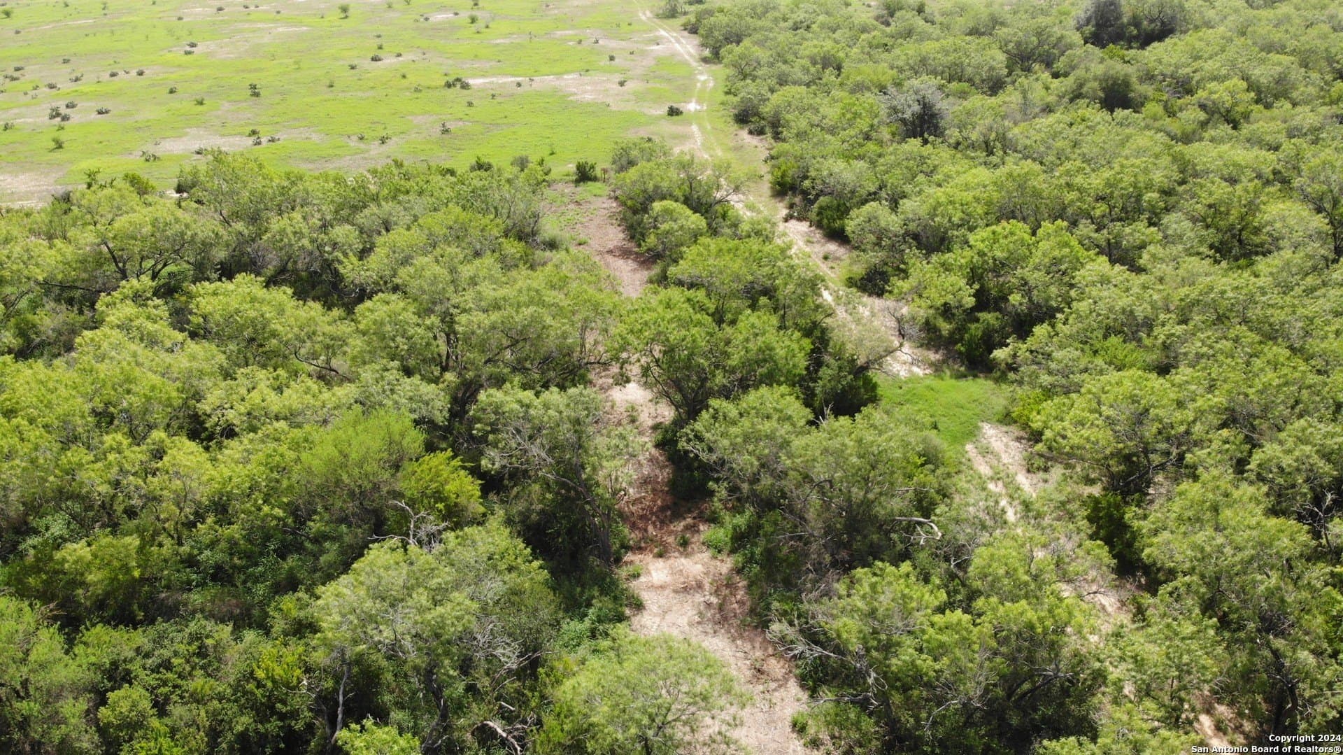 0.16 acres in Atascosa County - photo 2