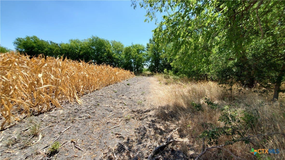 80.5 acres in Bell County - photo 26