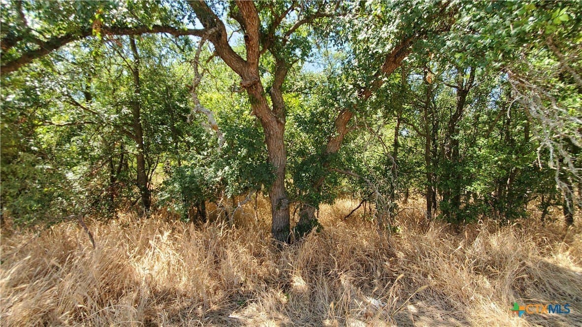 80.5 acres in Bell County - photo 25