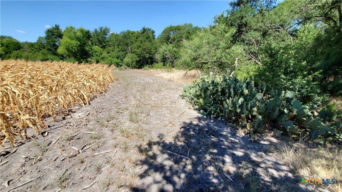 80.5 acres in Bell County - photo 21