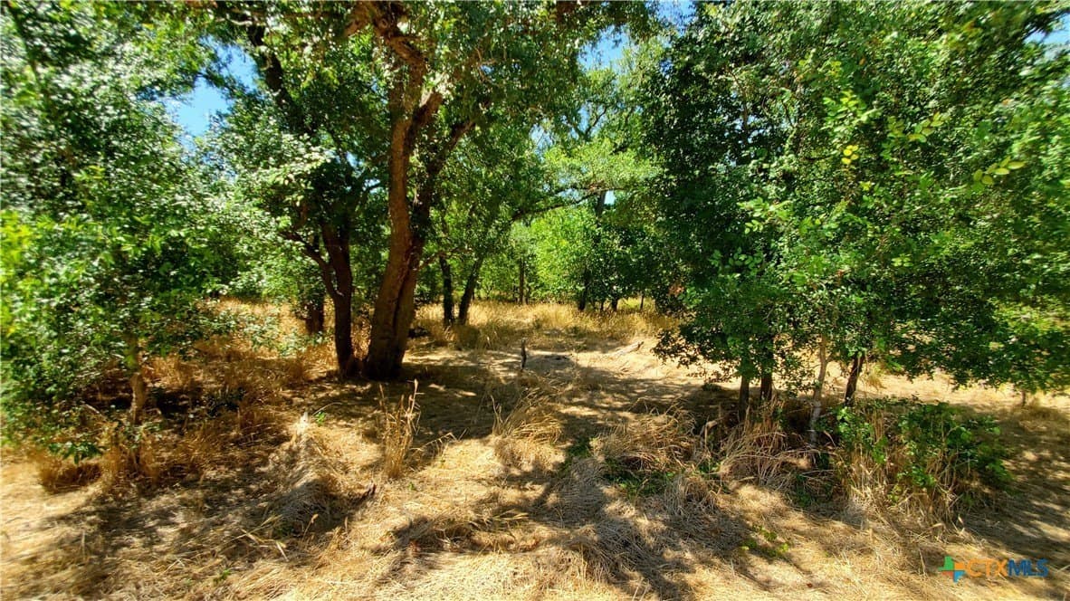 80.5 acres in Bell County - photo 24