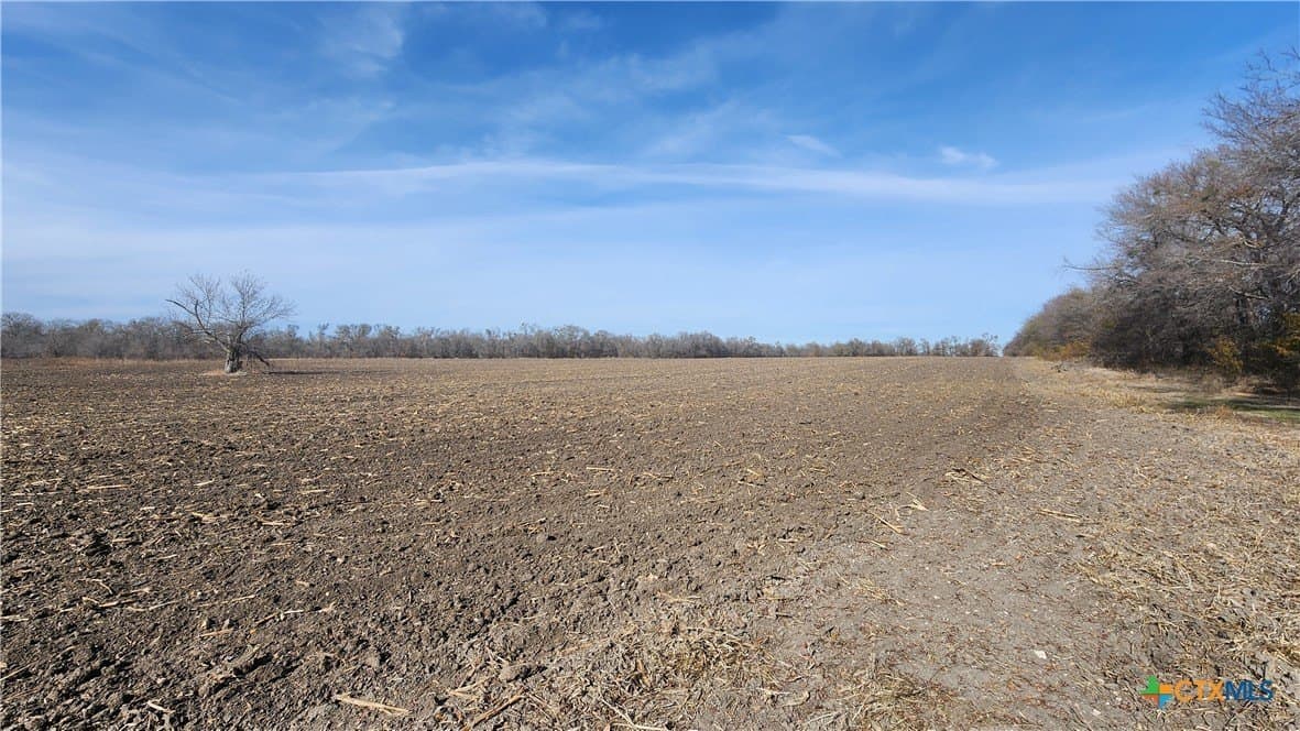 80.5 acres in Bell County - photo 12