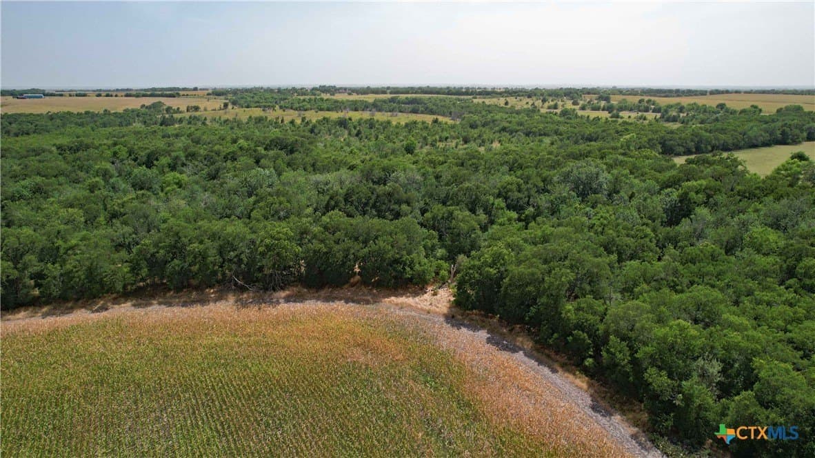 80.5 acres in Bell County - photo 3