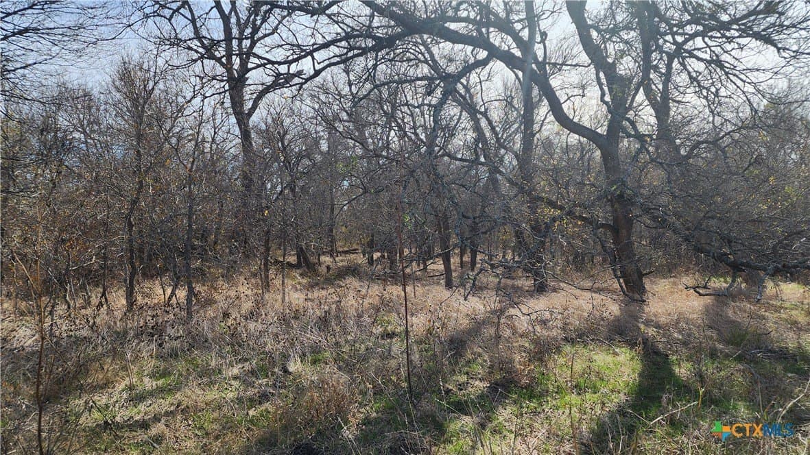 80.5 acres in Bell County - photo 13