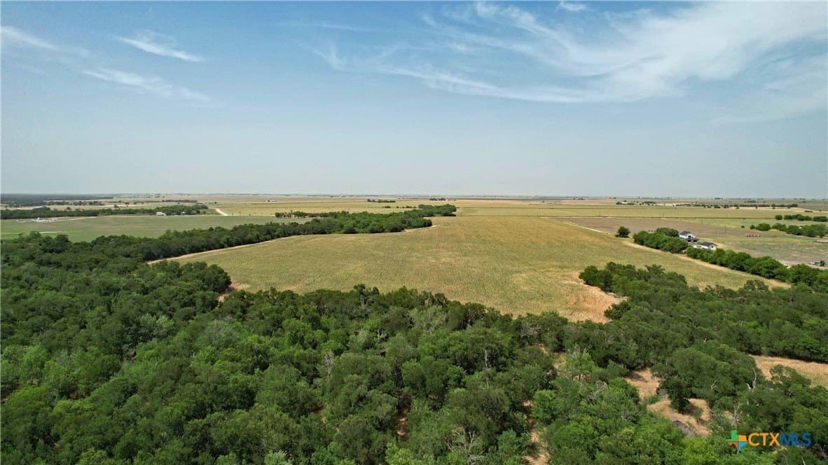80.5 acres in Bell County - photo 2