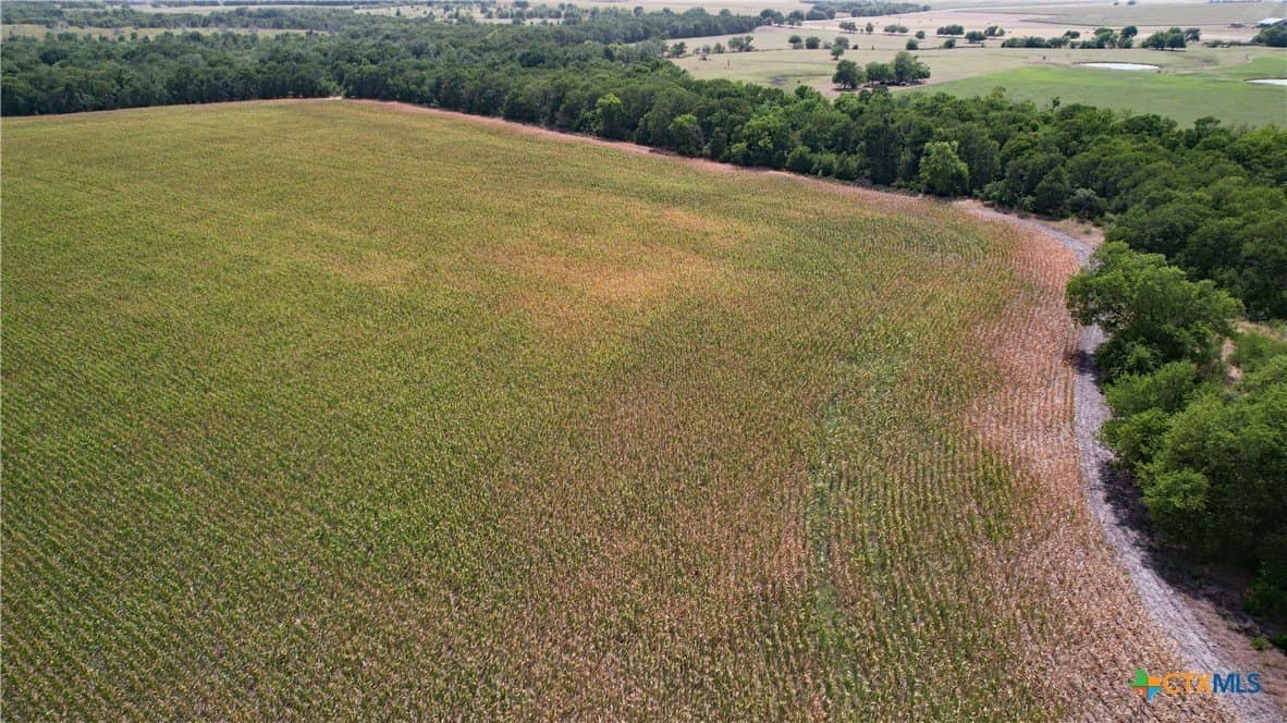 80.5 acres in Bell County - photo 7