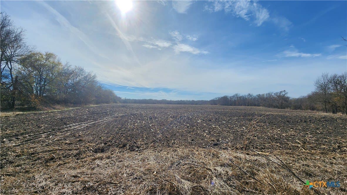 80.5 acres in Bell County - photo 11