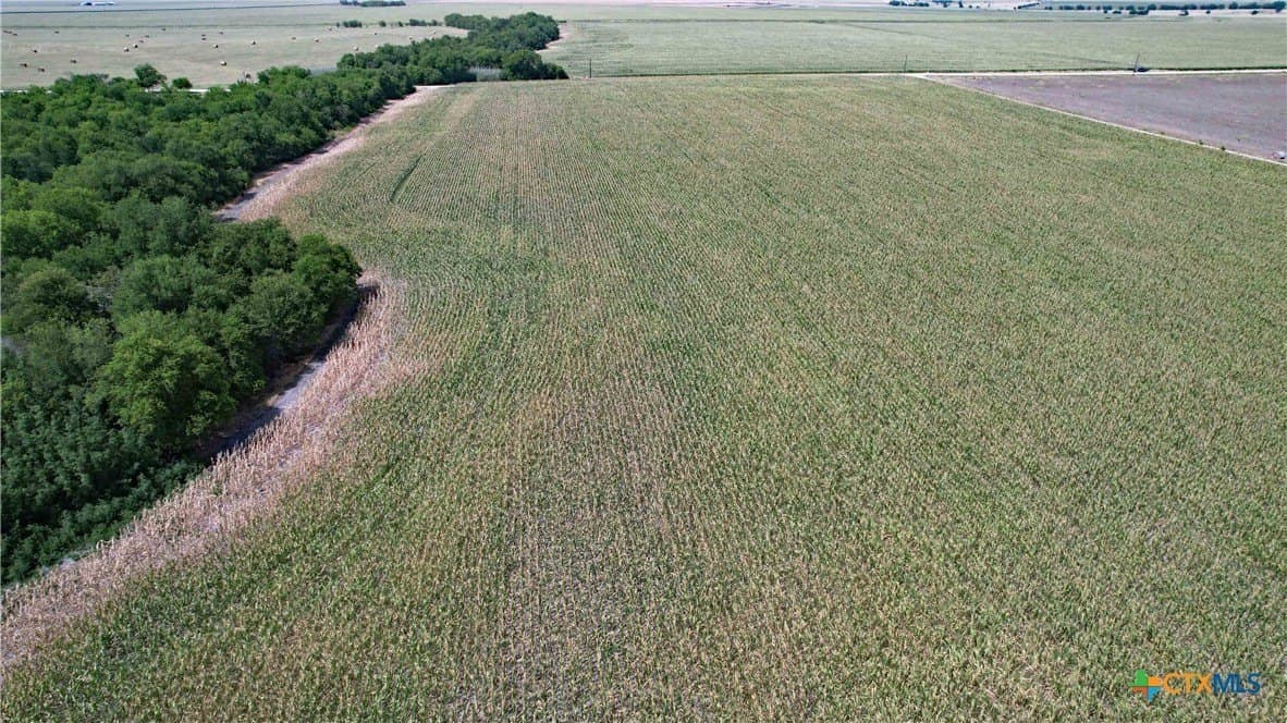 80.5 acres in Bell County - photo 6