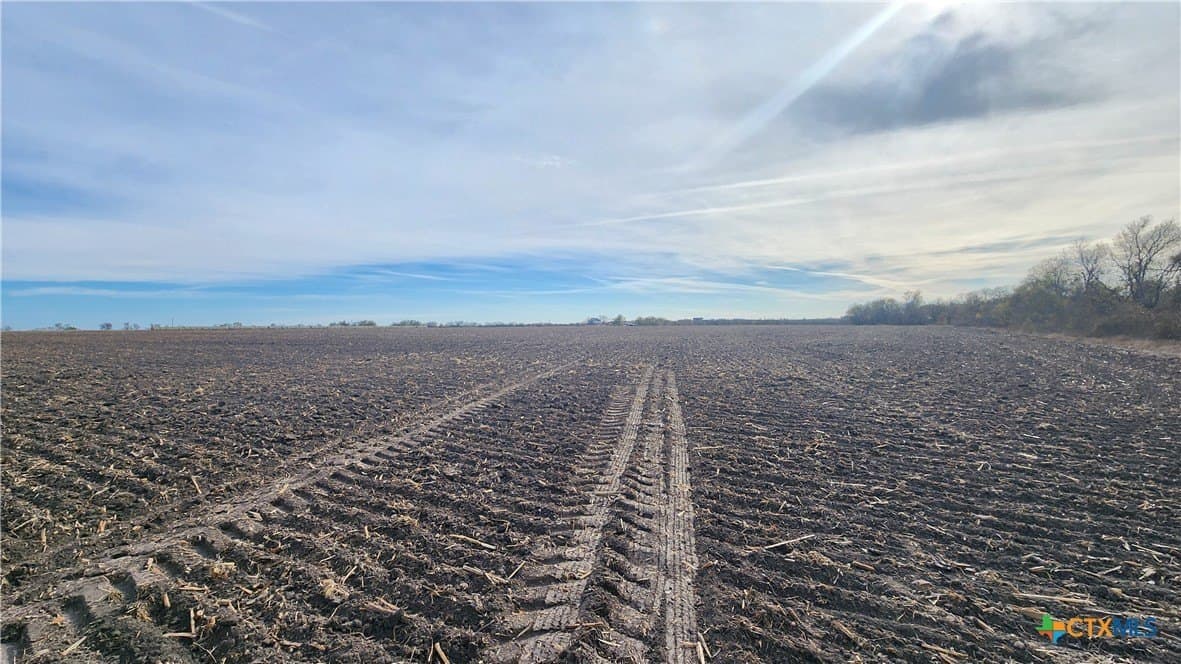 80.5 acres in Bell County - photo 9