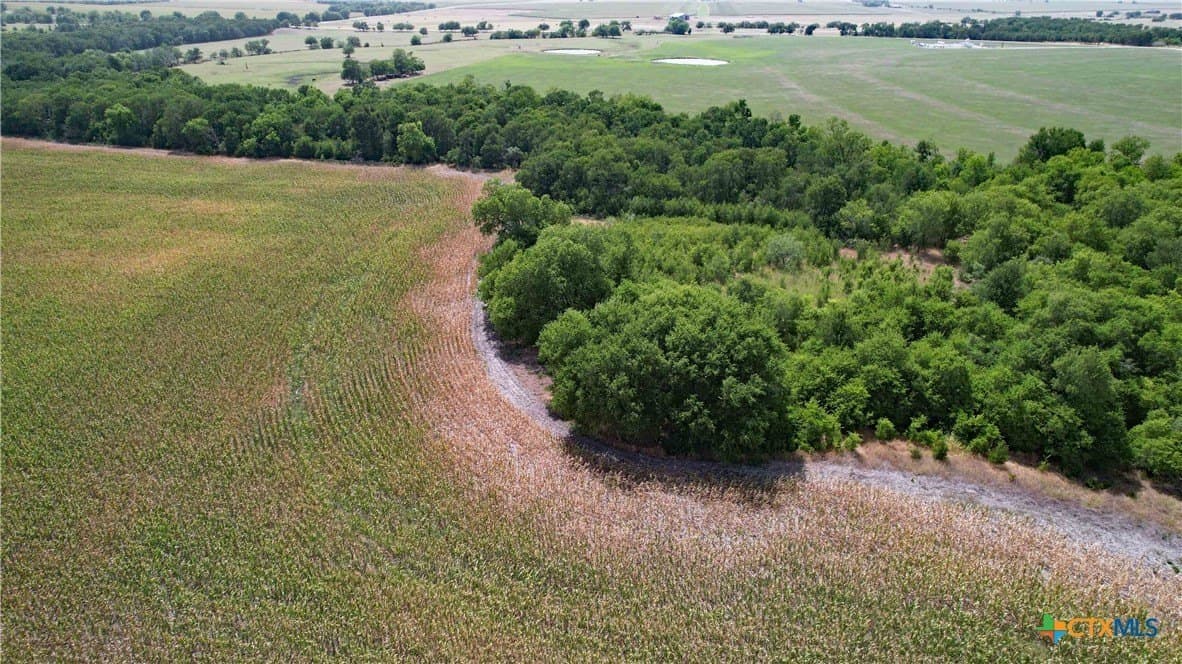 80.5 acres in Bell County - photo 4