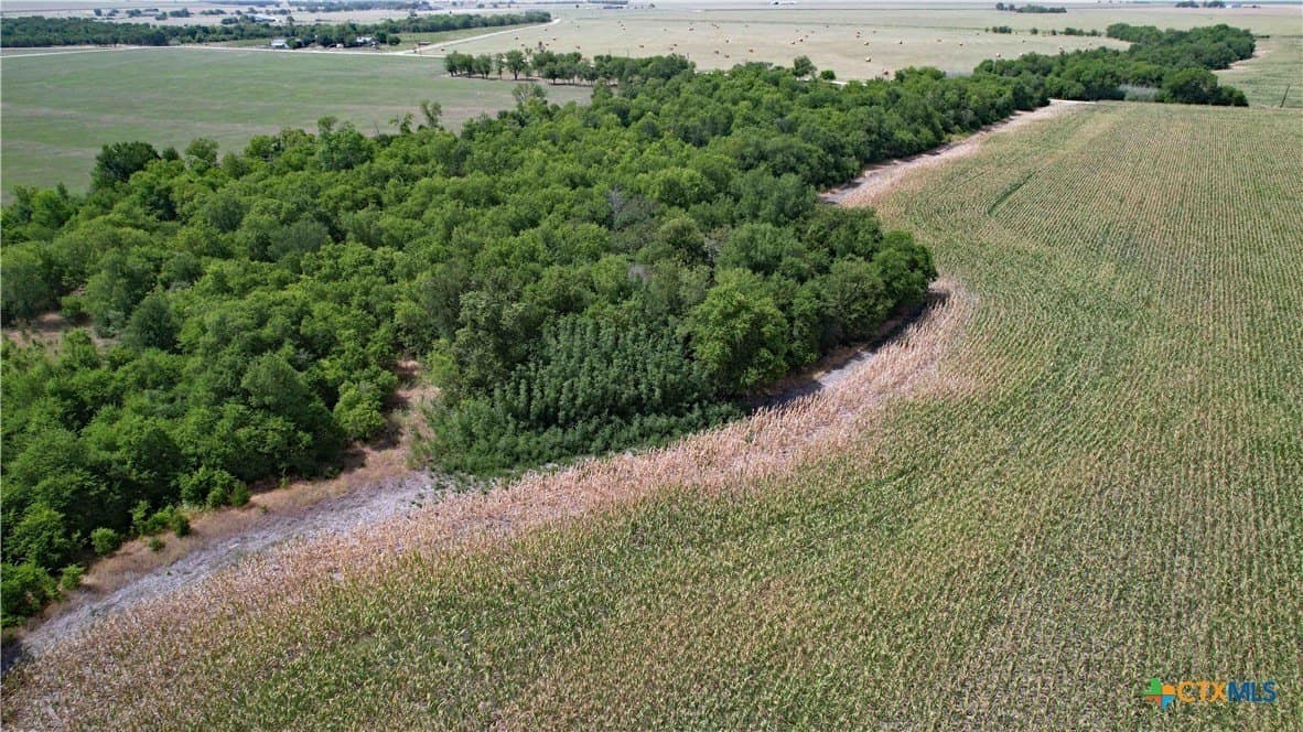 80.5 acres in Bell County - photo 8