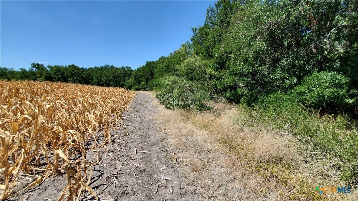 80.5 acres in Bell County - photo 23