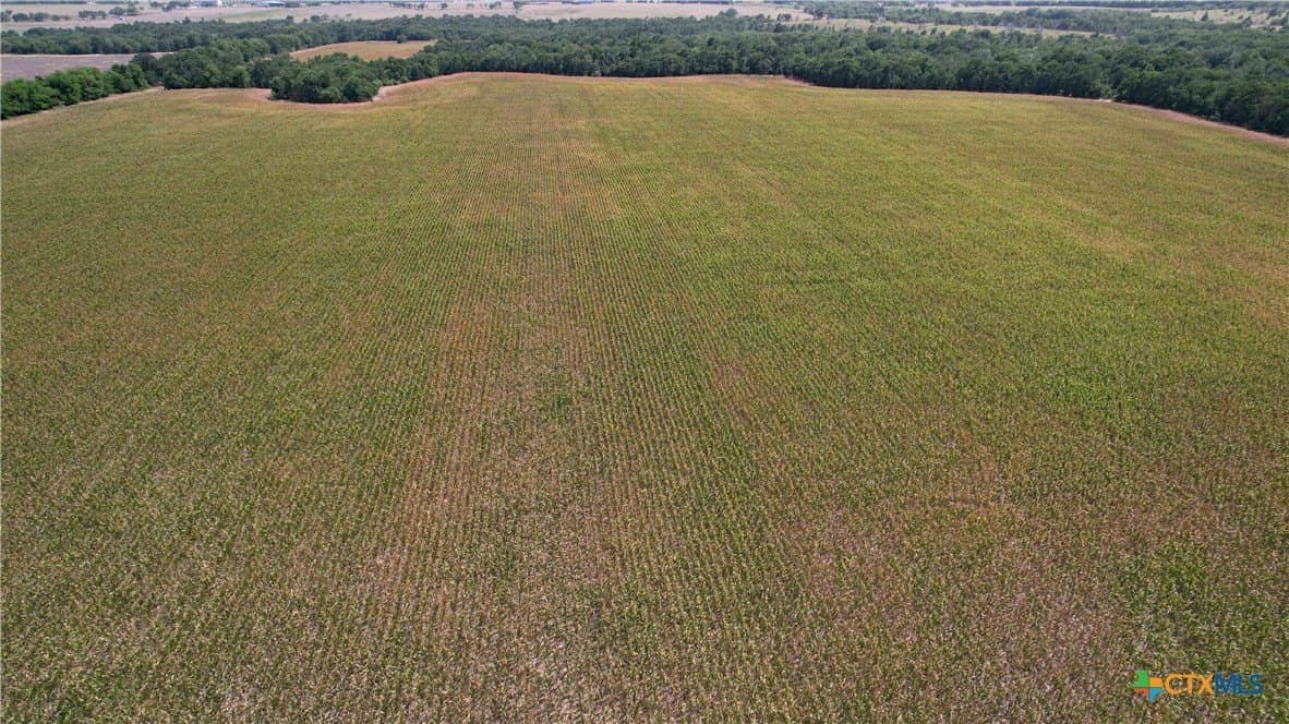 80.5 acres in Bell County - photo 5