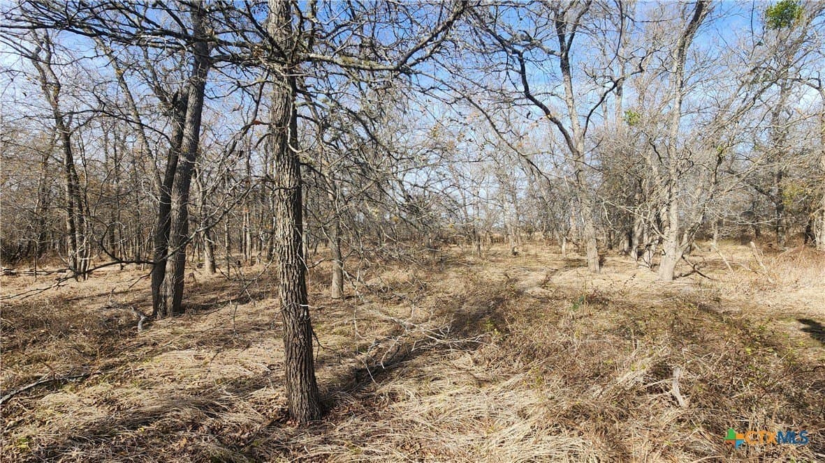 80.5 acres in Bell County - photo 16