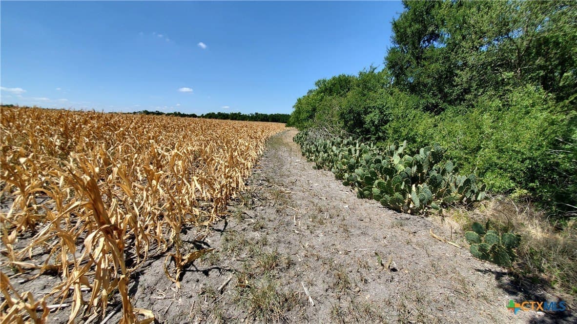 80.5 acres in Bell County - photo 22