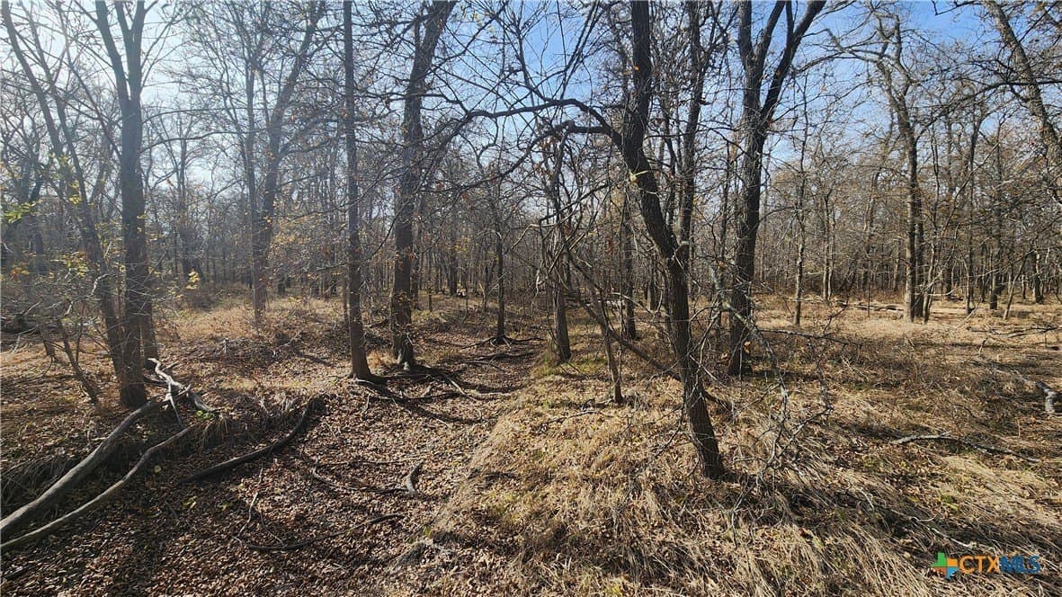 80.5 acres in Bell County - photo 15