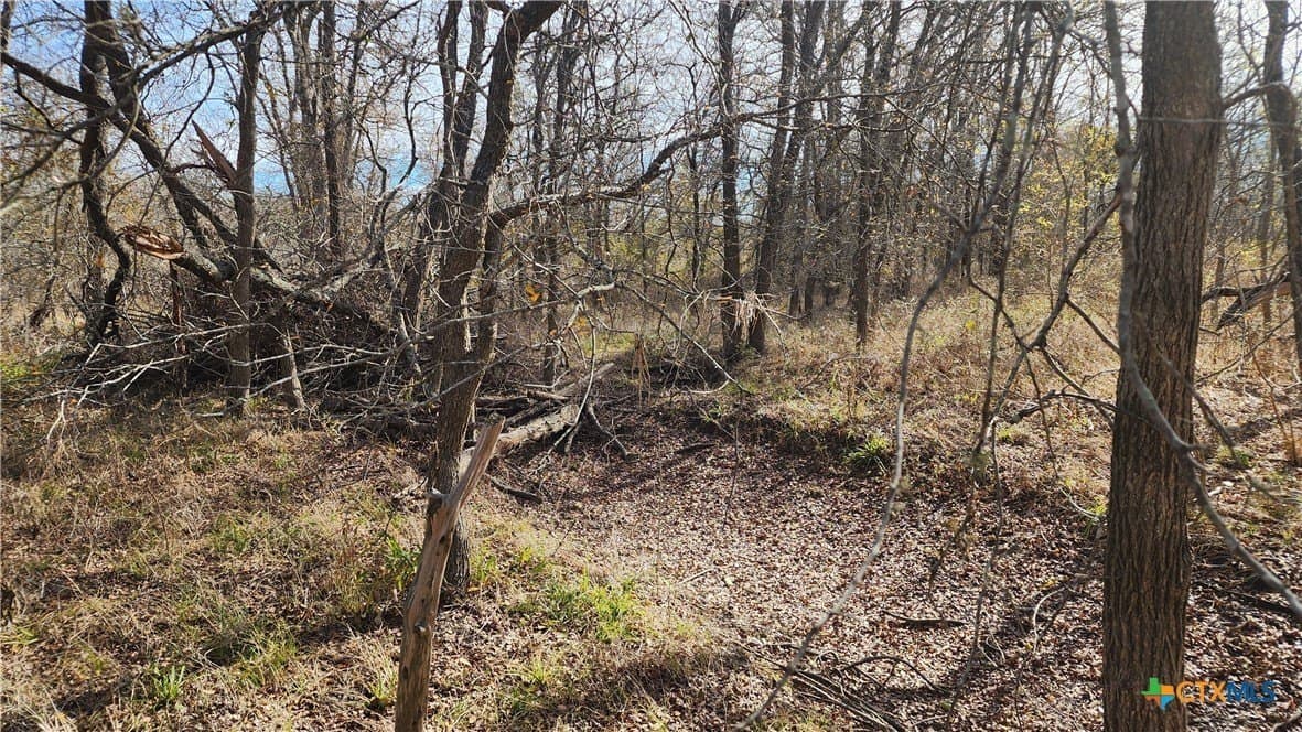 80.5 acres in Bell County - photo 14