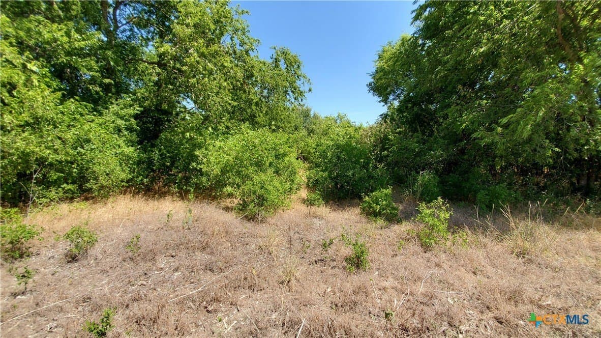 80.5 acres in Bell County - photo 19